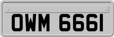 OWM6661