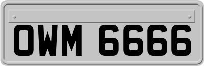 OWM6666