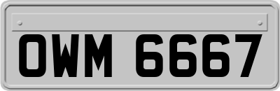 OWM6667