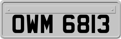 OWM6813