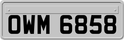 OWM6858