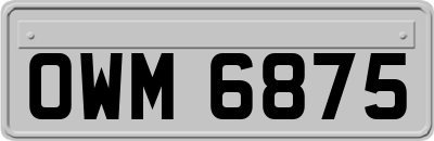 OWM6875