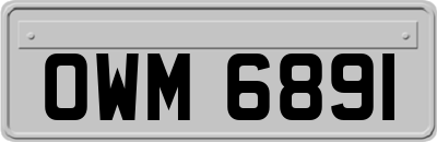 OWM6891