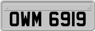 OWM6919