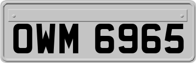 OWM6965
