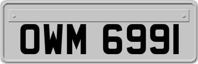 OWM6991