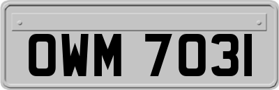 OWM7031