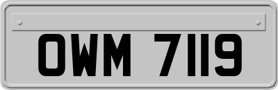 OWM7119