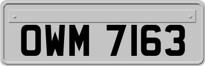 OWM7163