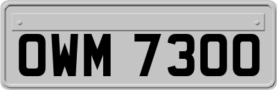 OWM7300