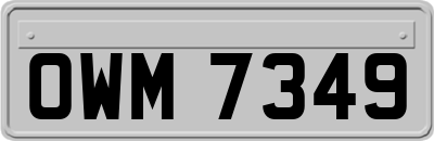 OWM7349