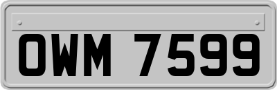 OWM7599