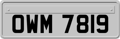 OWM7819
