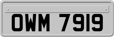 OWM7919