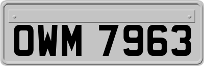 OWM7963