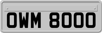 OWM8000