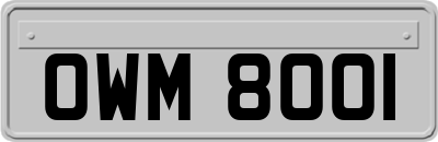 OWM8001