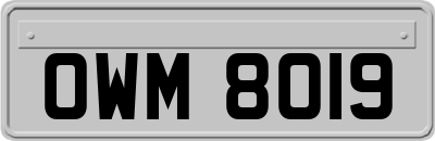 OWM8019