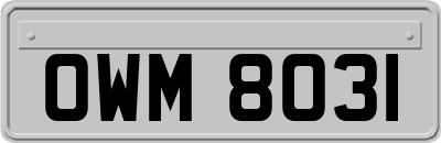 OWM8031