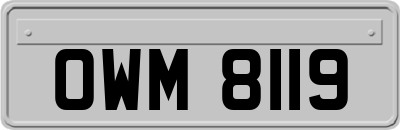 OWM8119