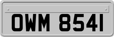 OWM8541
