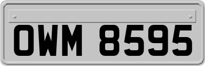 OWM8595