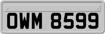 OWM8599