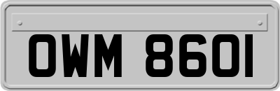OWM8601