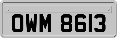 OWM8613
