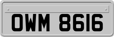 OWM8616