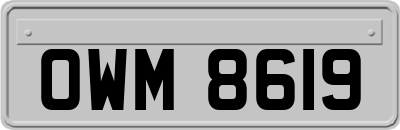 OWM8619