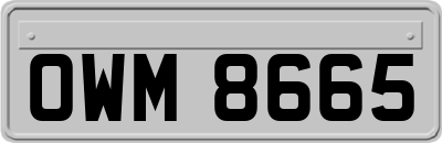 OWM8665