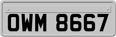 OWM8667