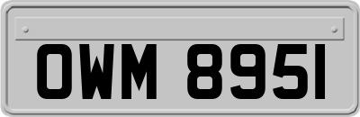 OWM8951