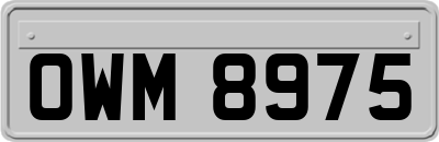 OWM8975