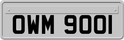OWM9001