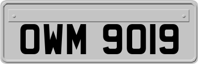 OWM9019
