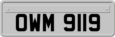 OWM9119