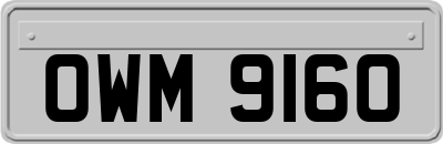 OWM9160