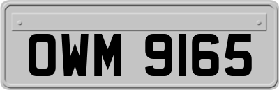 OWM9165