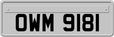 OWM9181