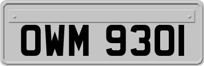 OWM9301