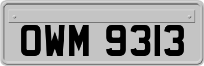 OWM9313