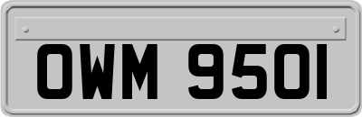 OWM9501