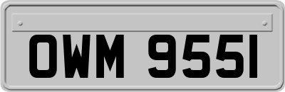 OWM9551