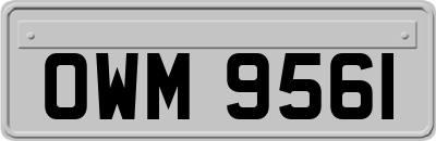 OWM9561
