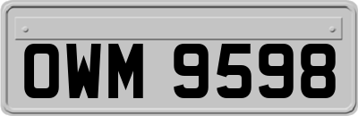 OWM9598