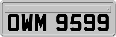 OWM9599