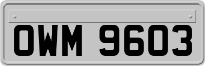 OWM9603