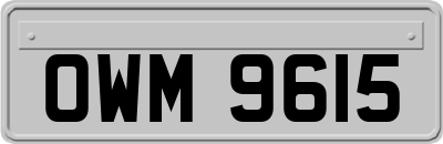OWM9615